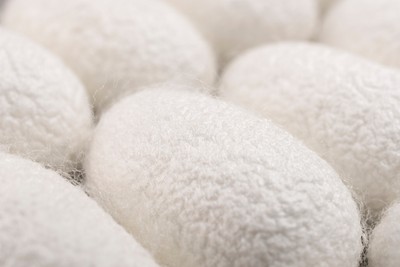 およそ30個分の繭(まゆ)使用