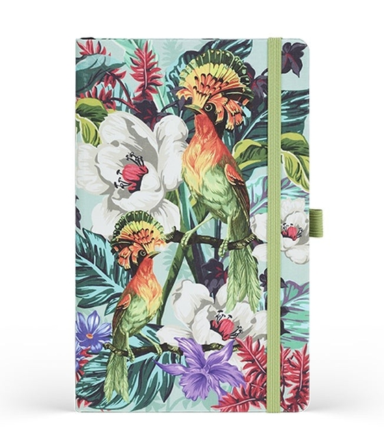 EXOTIC エキゾチック