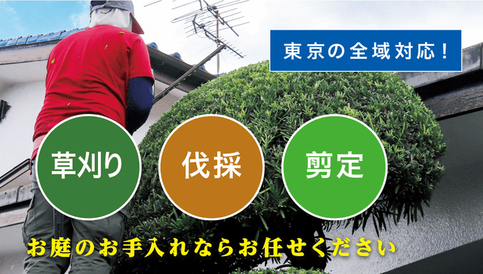 お庭の大将(東京)