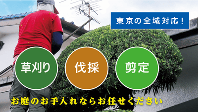 お庭の大将(東京)