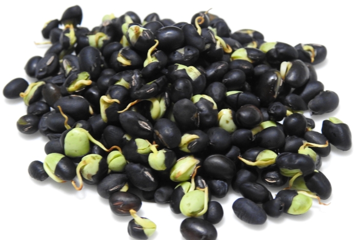 発芽黒千石大豆