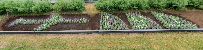 「#武蔵野中央公園ガーデンショー」と付けて発信してみよう!