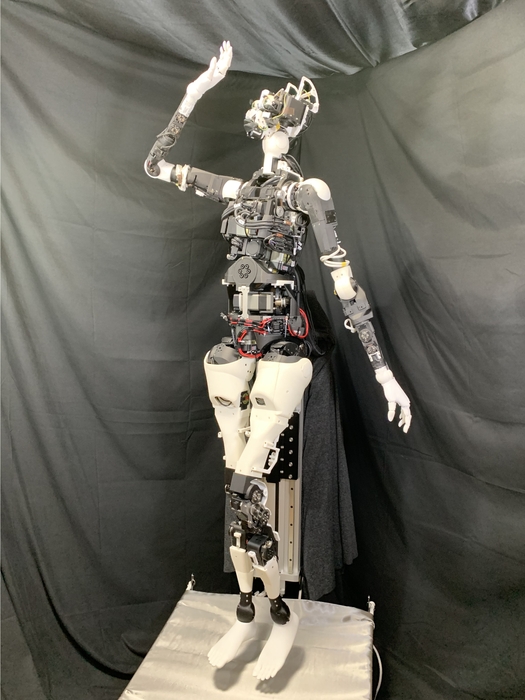 高坂ここな 全身骨格