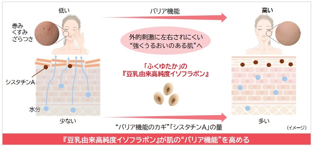 研究成果の概要