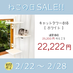 2月22日「猫の日」にちなんで、窓枠に取付ける キャットタワー『ねこゴロン』がお得に購入できるセールを開催！