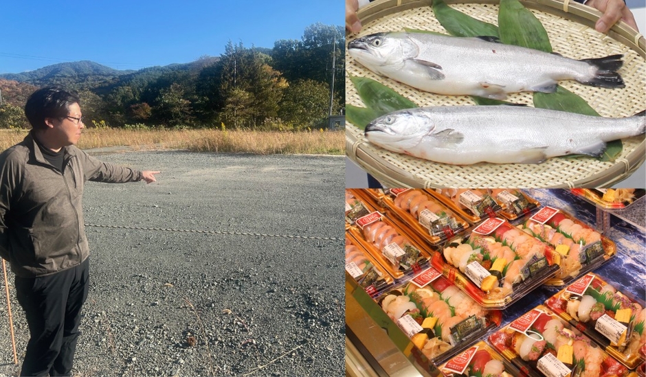 新たな養殖施設の建設予定地㊧＝2025年10月27日撮影 2023年7月の試験販売時に披露されたベニザケ㊨㊤と店頭に並んだ寿司の盛り合わせ㊨㊦