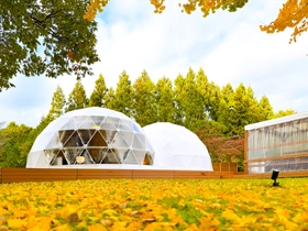 世界遺産「日光の社寺」にほど近い日光で秋のグランピング 「秋の紅葉BBQプラン」を10月1日より期間限定で提供