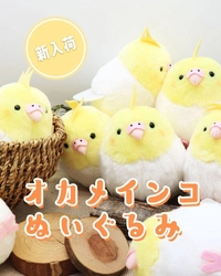 【新発売】大人気シリーズに待望の新作が登場！
ことりすまいるの手のひらサイズ"もふもふ"な相棒「オカメインコ ぬいぐるみ」