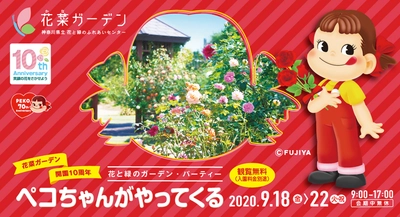 花菜ガーデン開園10周年×不二家ペコちゃん生誕70周年コラボ企画 〈花と緑のガーデン・パーティー ペコちゃんがやってくる〉 9月18日～22日開催！ 会場限定スペシャルパッケージの「ミルキー」も販売！