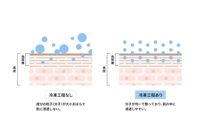 冷凍することで整える分子の配列と浸透イメージ