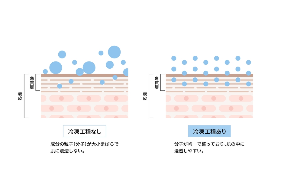 冷凍することで整える分子の配列と浸透イメージ
