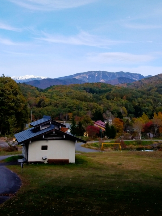 山之村牧場の様子