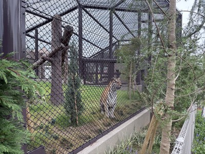 網越しも間近に見られる