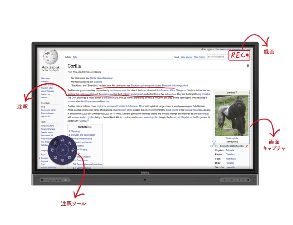 資料や教材の理解度を高める注釈ツール
