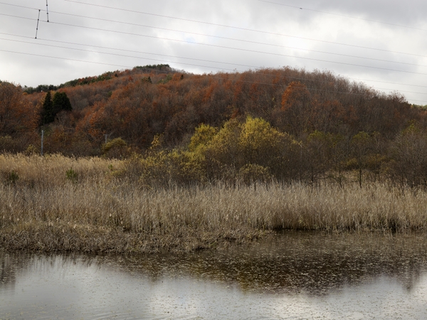 「Remembrance」より 2011