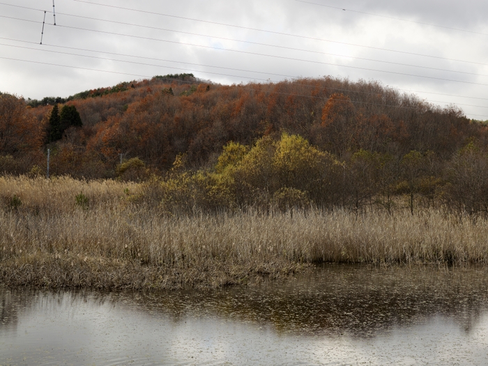 「Remembrance」より 2011