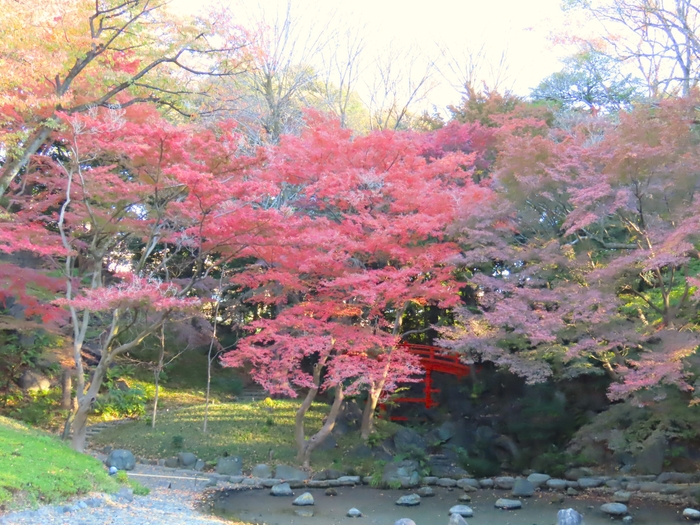 通天橋（11月29日撮影）