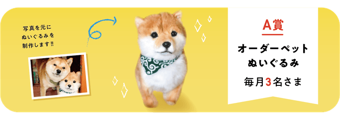A賞 オーダーペットぬいぐるみ
