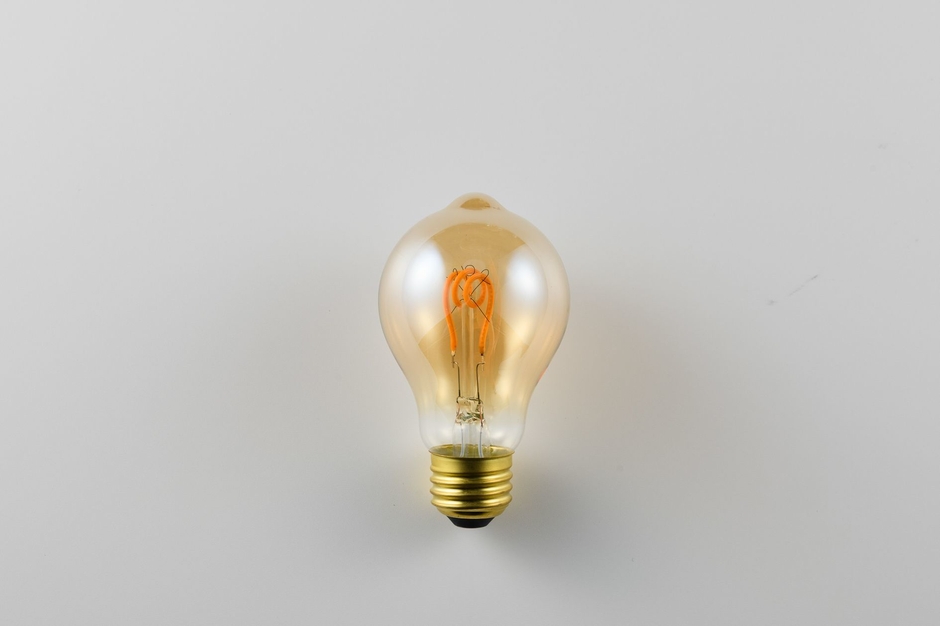 LED SWAN BULB VF　SWAN