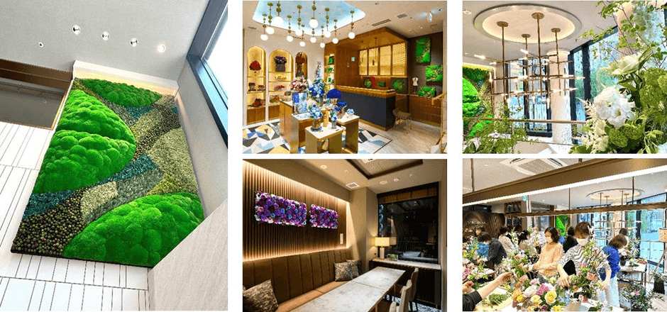 左:店内壁面の苔のプリザーブドフラワー 中上:ベル・フルール銀座本店 店内 中下:VIPルーム 左上下:ベル・フルール銀座校