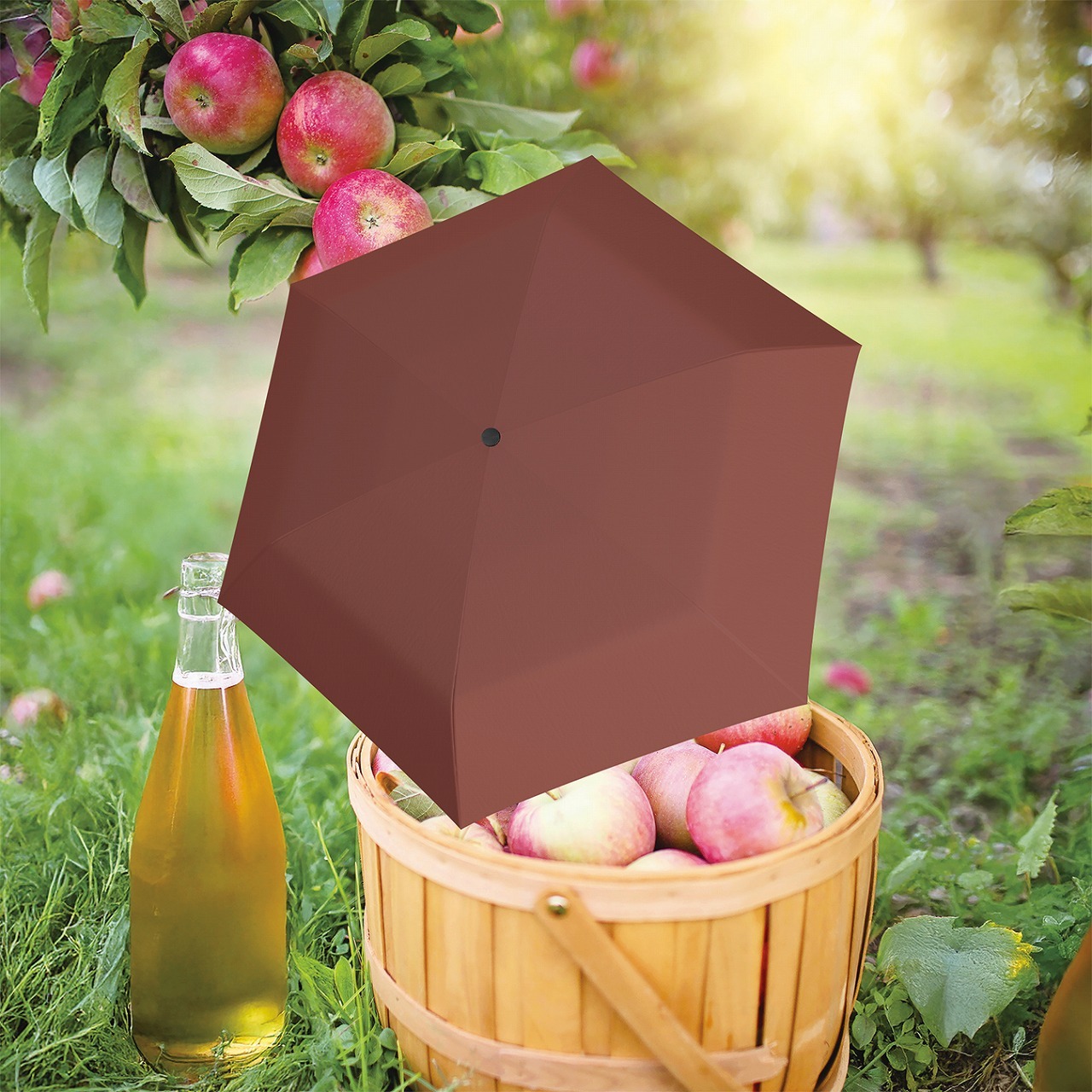 U.220 / US.050 Cidre