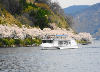 船上から楽しむお花見見学 びわ湖 桜クルーズ2017