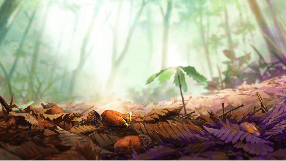 アニメ参考画:ドングリからの芽生え