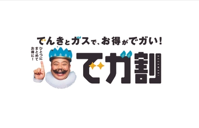 ニチガス、電気とガスの同時お申込み受付開始！ ～業界最安値を目指すセットプラン「でガ割」～