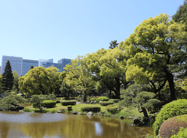 心字池と周辺の樹木(日比谷公園)