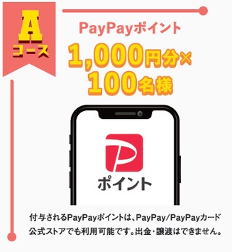 Aコース PayPayポイント1,000円分 イメージ図
