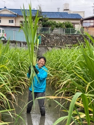 命を守る子ども食堂、物価高騰で多くが存続の危機に 支援に頼らない運営を目指し、高級食材まこもだけを栽培 　～10月12日富田林市でまこもだけ収穫イベント開催～