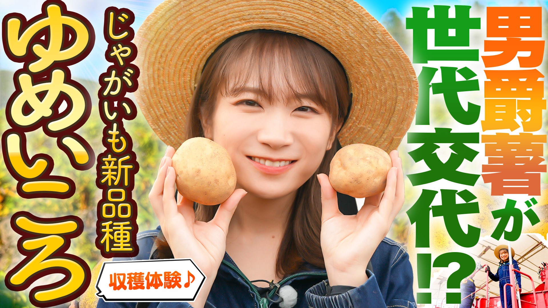 秋元真夏が北海道訓子府町で じゃがいもの新品種「ゆめいころ」を収穫！