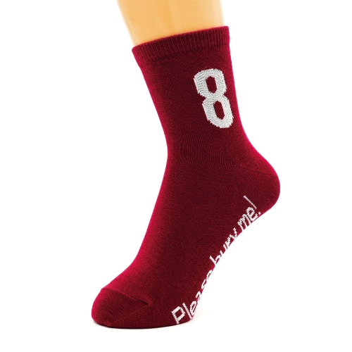 SDGs Socks(カラー：目標8)