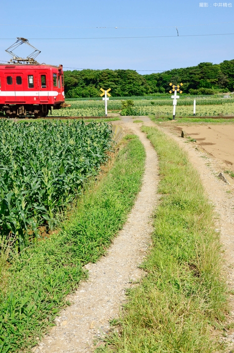 「銚子電鉄」の写真03(撮影:中井精也)