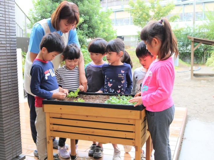 VegTrug(R) Kids　実施風景