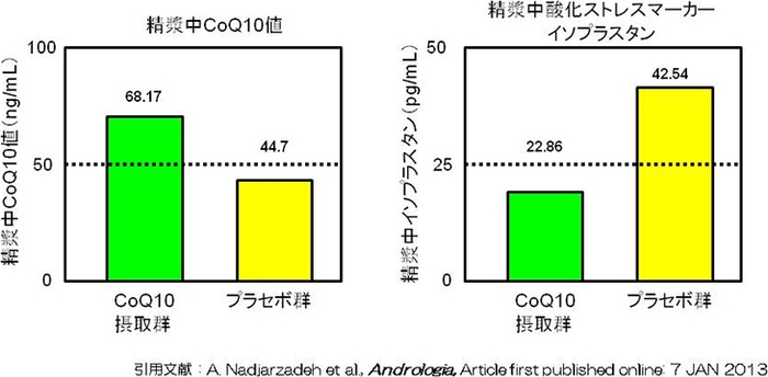 COQ10摂取による精漿中COQ10の増加と抗酸化作用