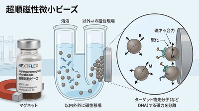 【最新予測】超順磁性微小ビーズ市場規模、2026年に168百万米ドルへ｜年平均成長率5.0%で推移予測