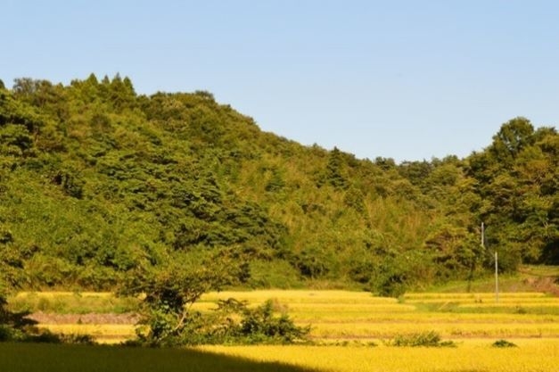 宮城県丸森町