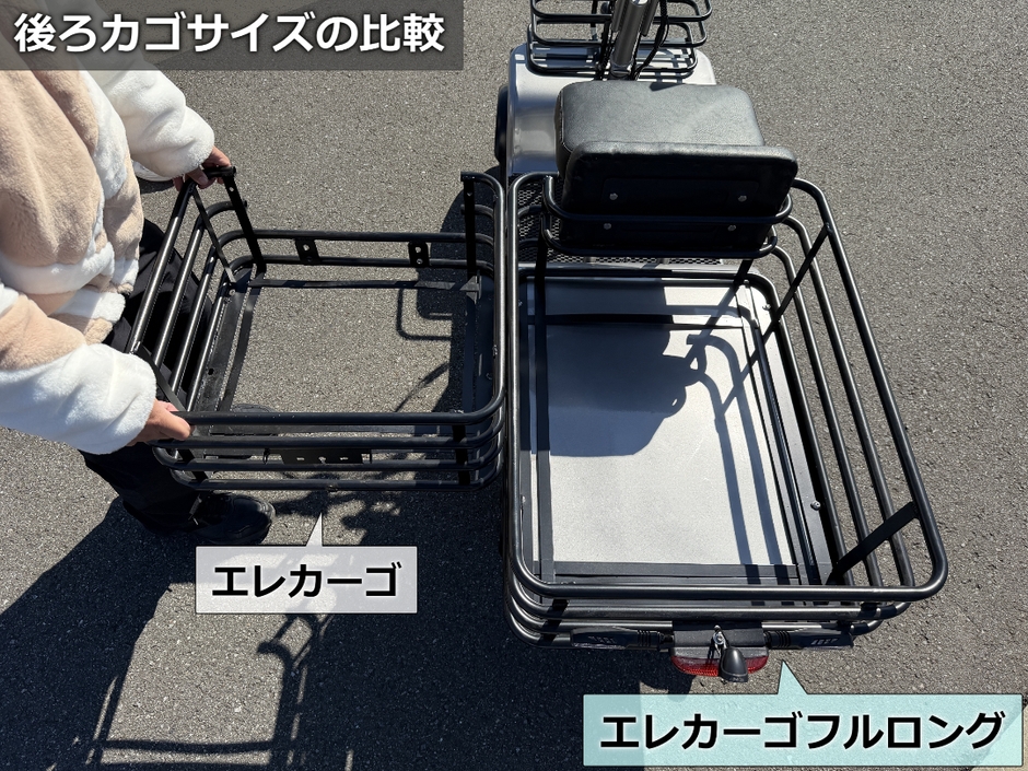 通常モデルとの比較(2)