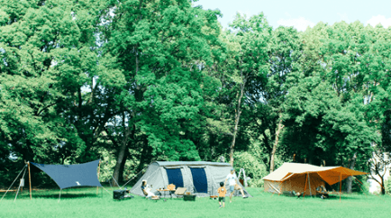 大蓮公園のキャンプサイトの様子