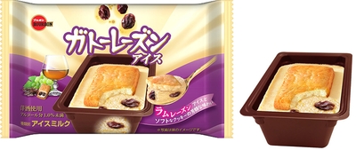 ガトーレーズンアイス