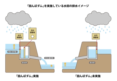 各セクションに図やグラフを使用