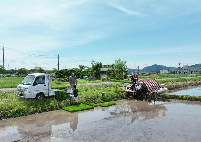 【米の生産（1次産業）】