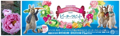 国内最大級の牡丹園「つくば牡丹園」が30周年記念で、 映画『ピーターラビット(TM)』とコラボ。 ピーターの小屋やバニー・カチューシャなど、撮影スポット満載！