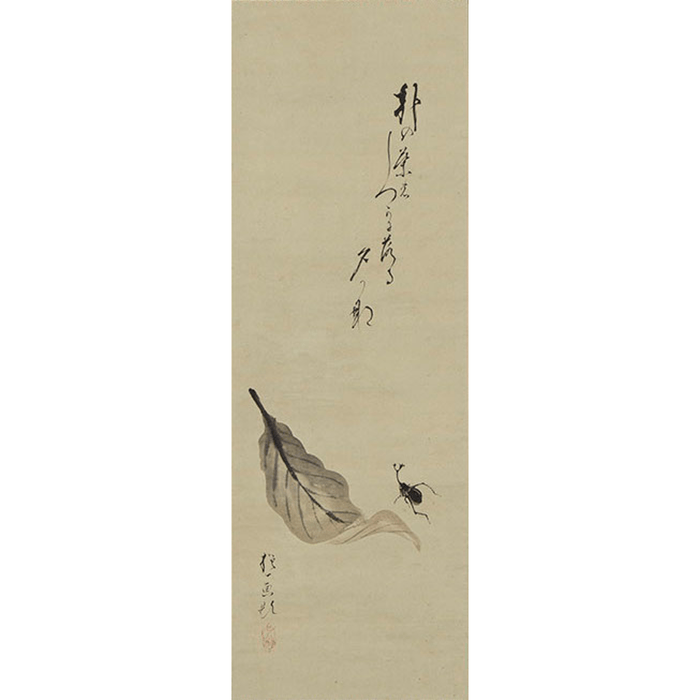 酒井抱一「朴の葉虫画賛」