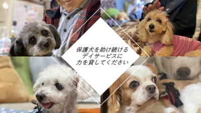 『保護犬を助け続けるデイサービスに力を貸して下さい』 2月28日まで運営支援のクラウドファンディングを受付