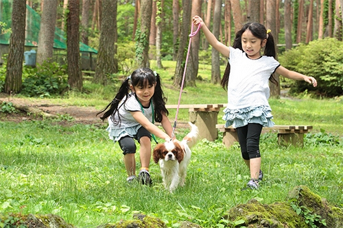 ワンちゃんとも遊べる