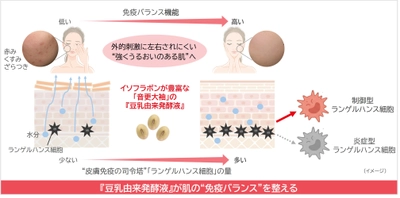 ノエビアグループ、北海道産丸大豆「音更大袖」の 『豆乳由来発酵液』が免疫バランスを整えることを解明