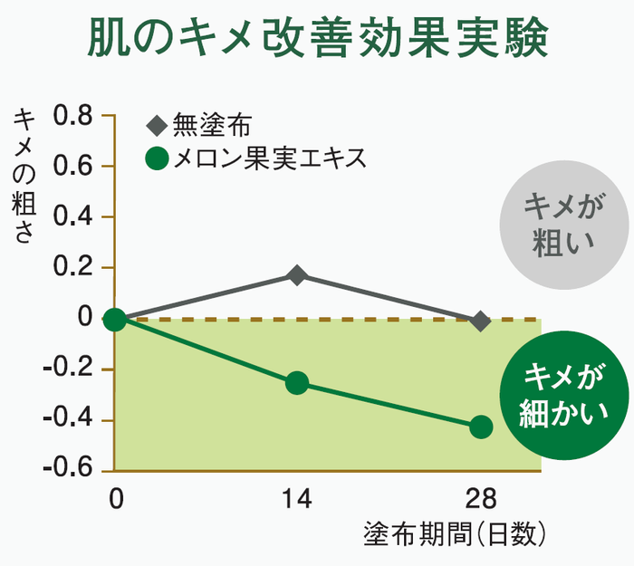 メロン果実エキスによる肌のキメ改善効果実験