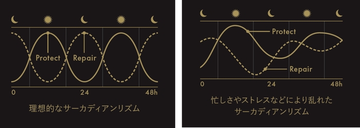 サーカディアンリズム